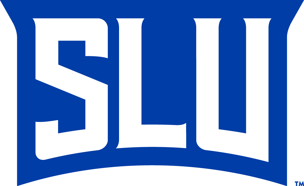 Saint Louis Billikens 2015-Pres Wordmark Logo v6 iron on transfers for T-shirts